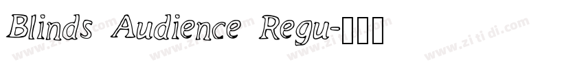 Blinds Audience Regu字体转换